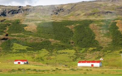 fattorie b&b islandesi