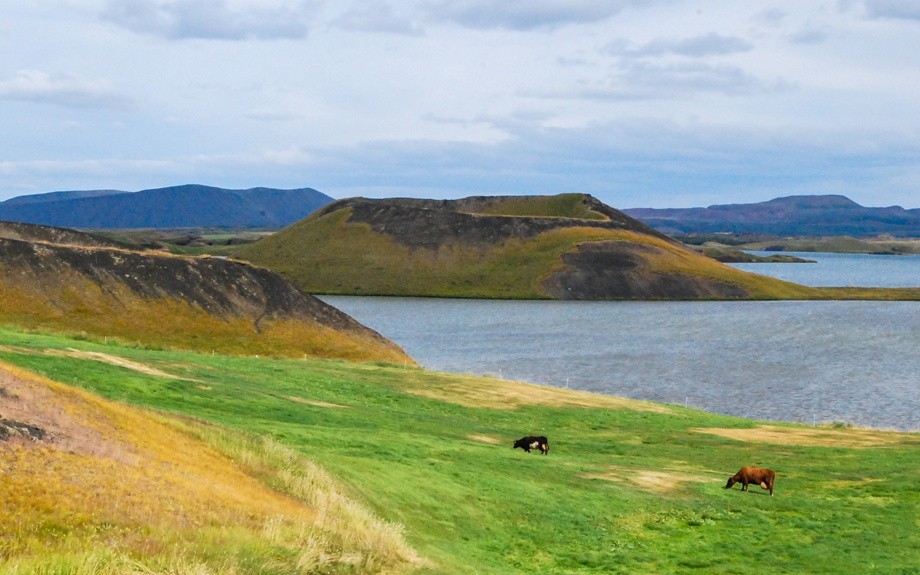 gli pseudo crateri sul lago Myvatn