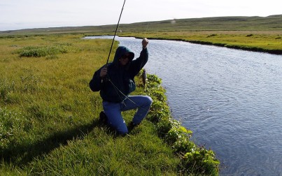 Pescare sul lago Myvatn - f.to by Giulia A.