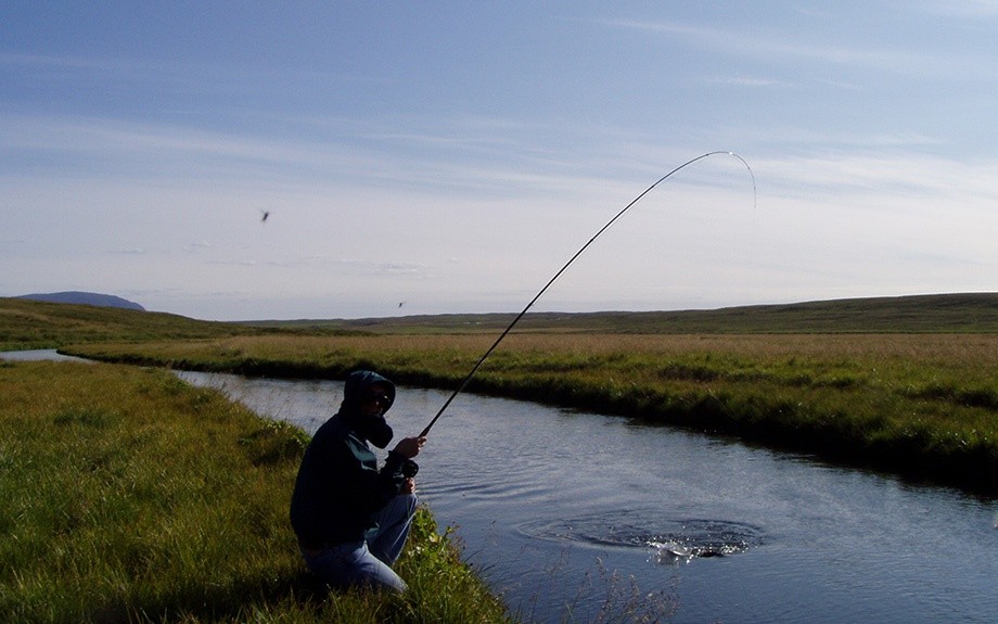 Pesca sul lago Myvatn - f.to by Giulia A.