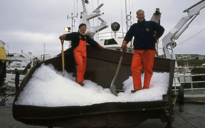 Pescatori islandesi - f.to M. Conforti