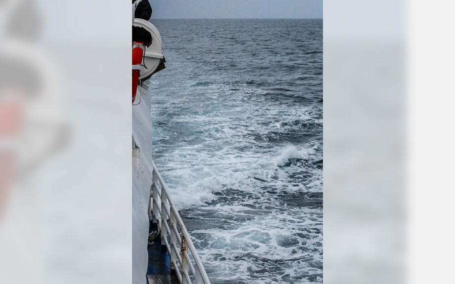 whale watching